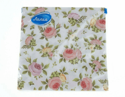 clipboard-image-1746251133